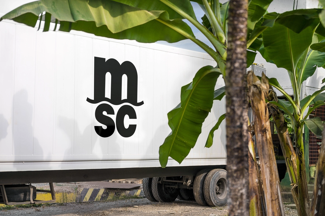 MSC17011649-1.webp